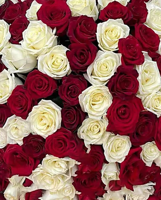 crimson bloom masterpiece