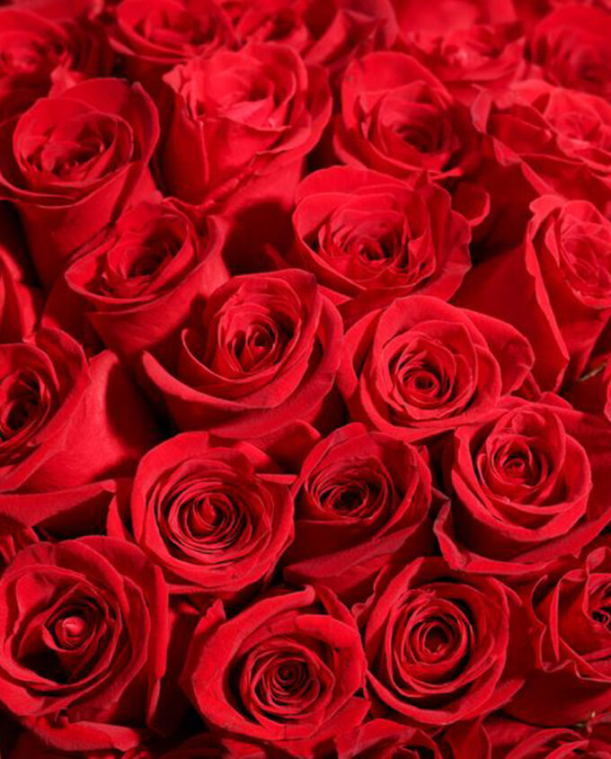 Grand Passion Rose Bouquet - Image 3
