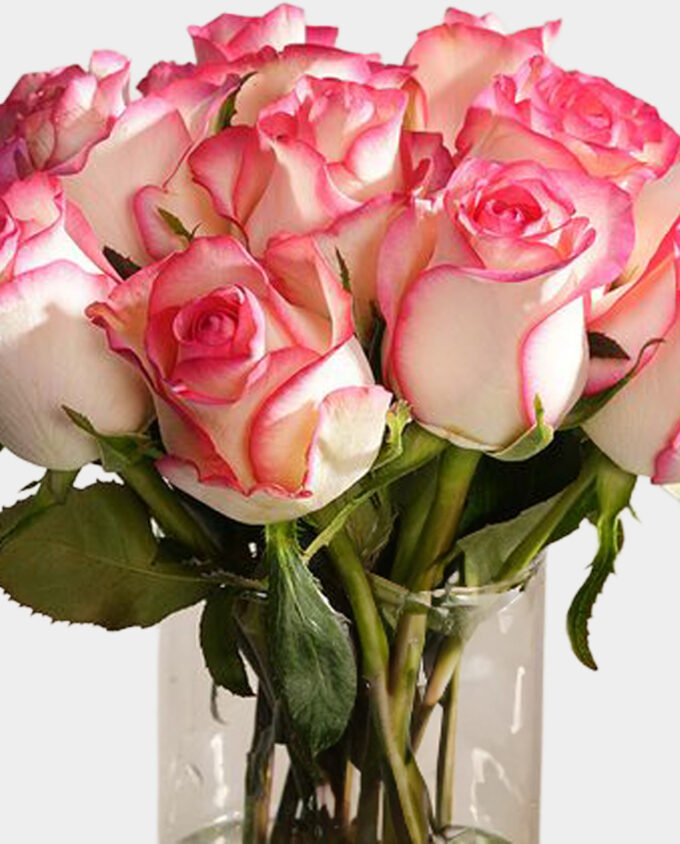esperance rose dream vase