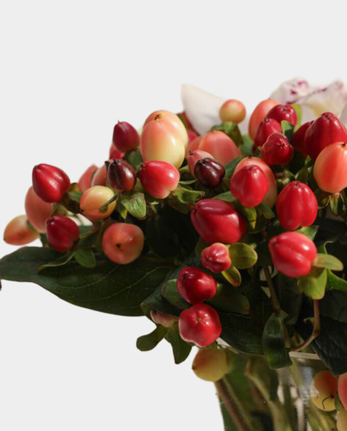 blush breeze recovery bouquet