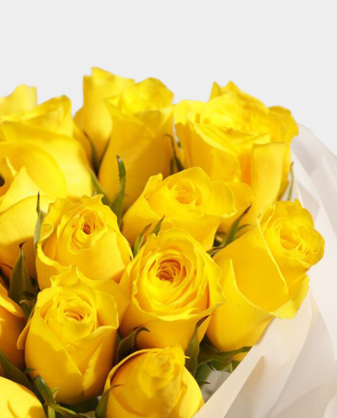 birthday rose surprise