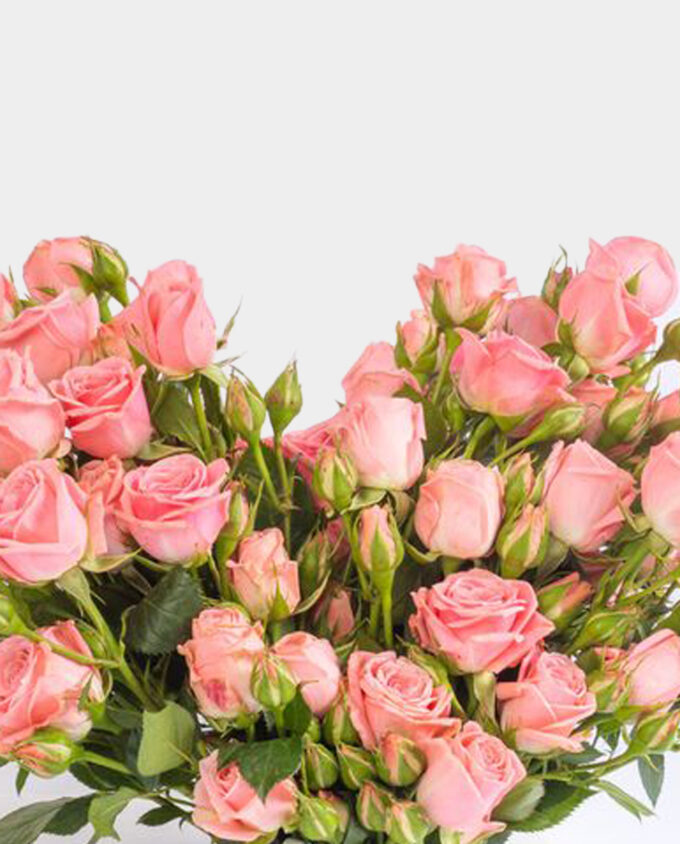gentle cheer bloom vase