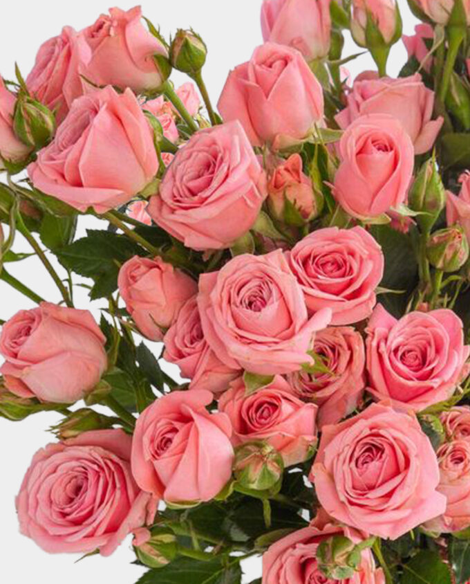 gentle cheer bloom vase - Image 2
