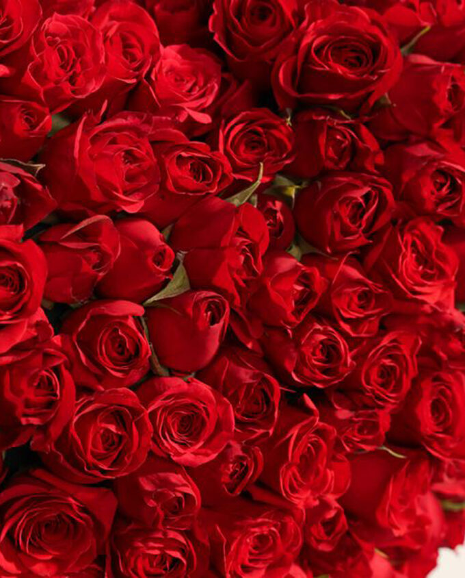 heartfelt bloom arrangement - Image 2