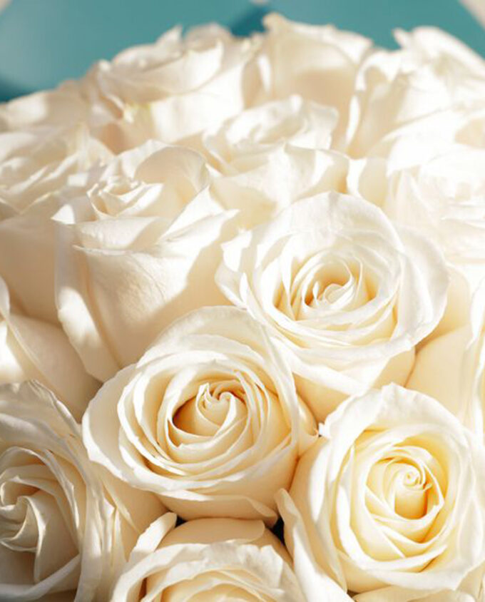 sunshine bloom recovery vase