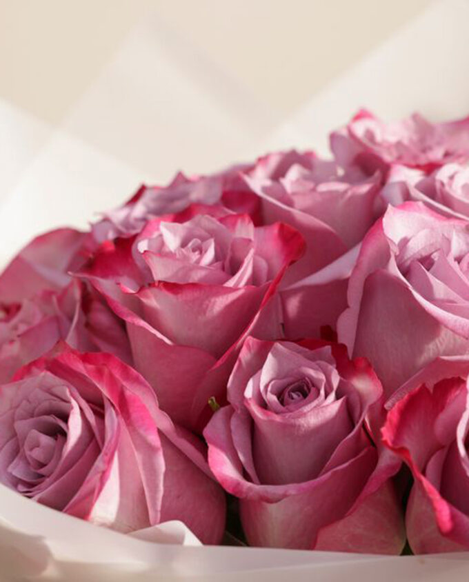 timeless bloom gift set