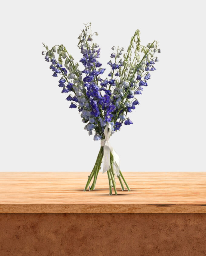 little gentleman bloom set - Image 2