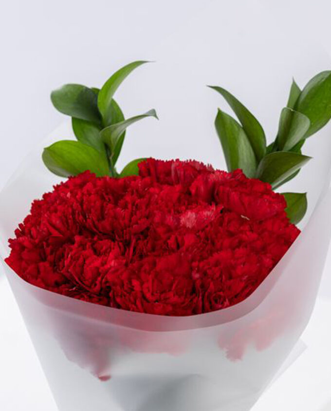rose passion bloom