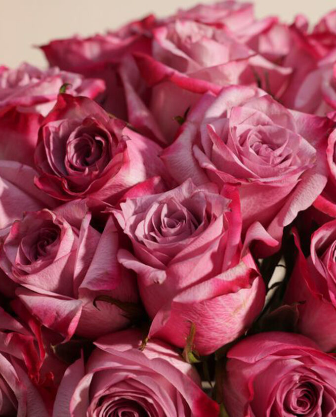 royal enchantment bouquet - Image 2