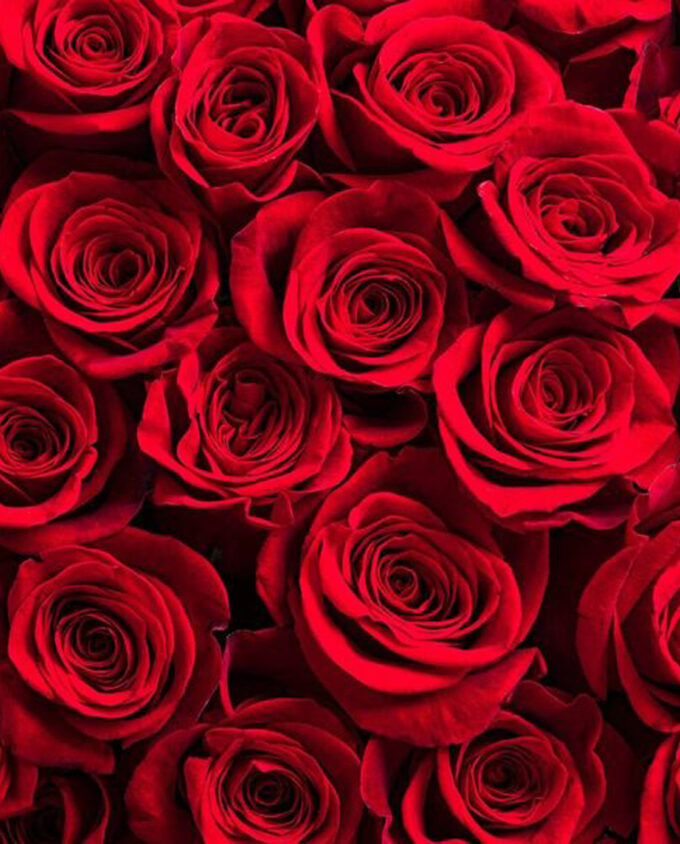 classic bloom bouquet - Image 2