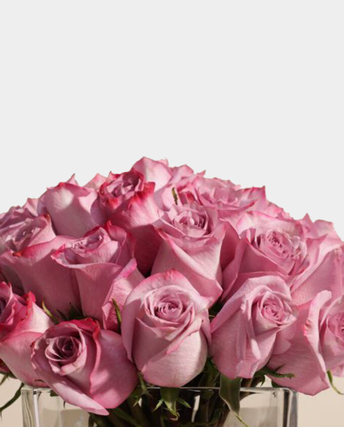 blooming love radiance vase