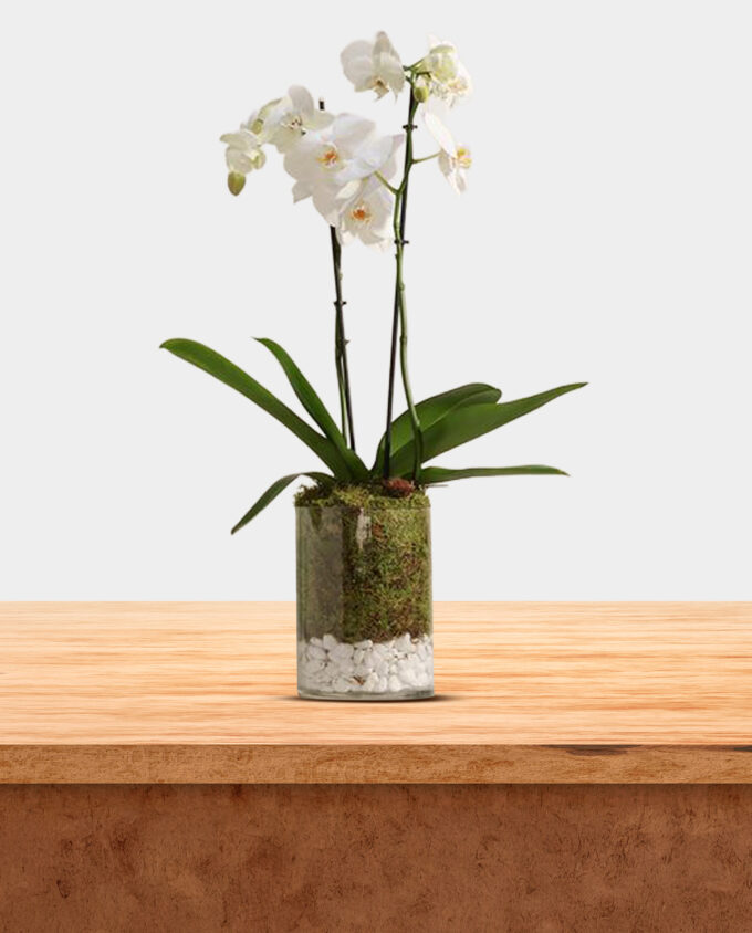 peach grace glass vase - Image 3