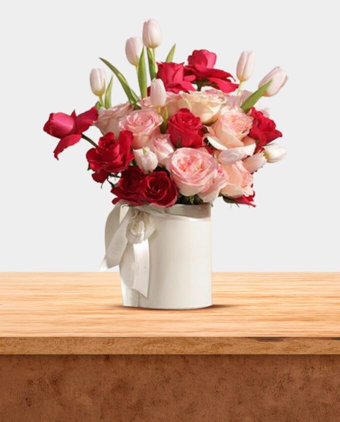 scarlet kalanchoe joy - Image 3