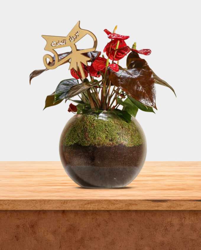 the violet anthurium - Image 3