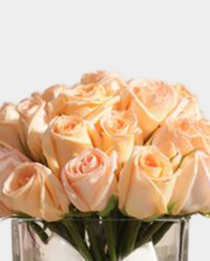blushing peach rose vase