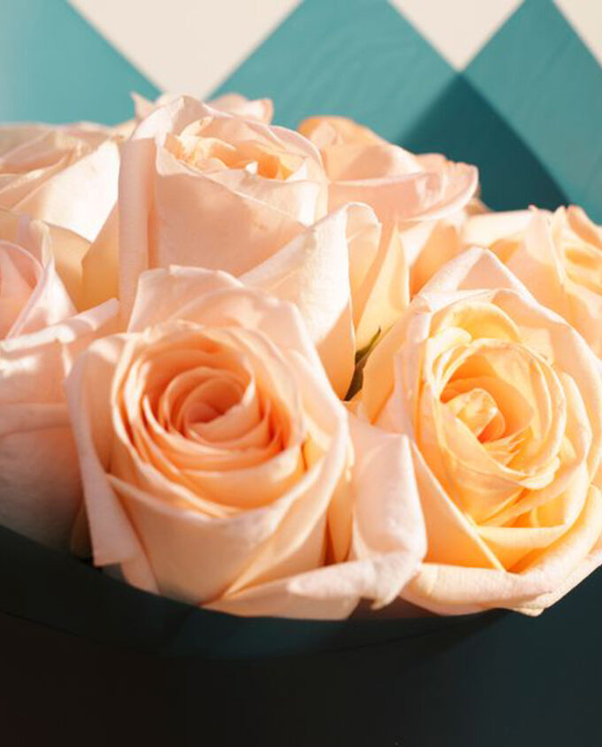 white roses & birthday cake duo - Image 2