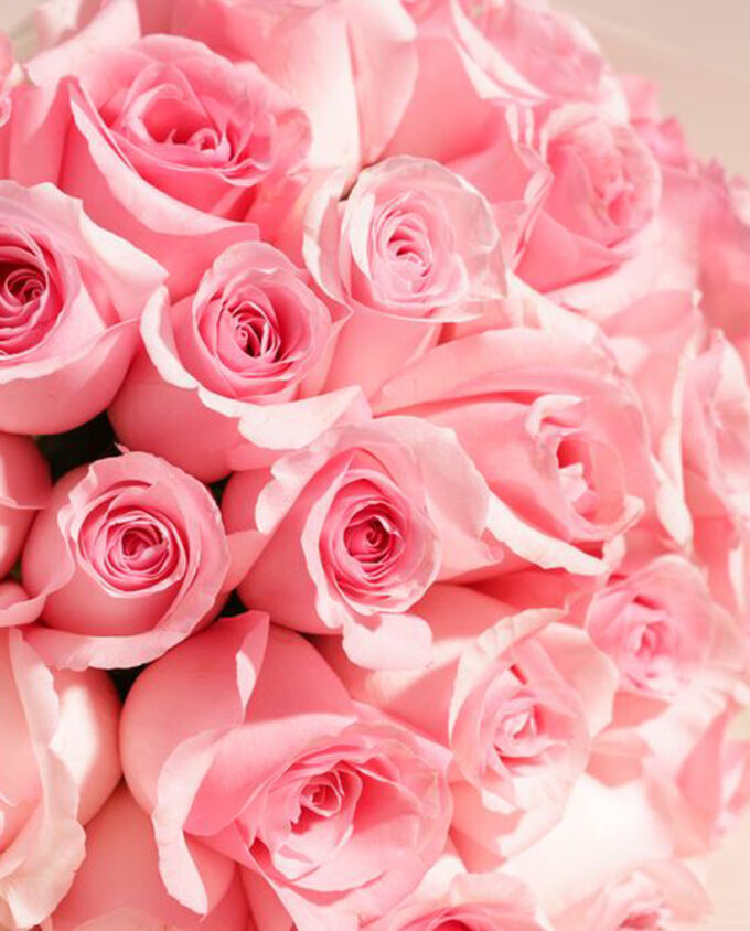 Petal Grace Rose Bouquet - Image 2
