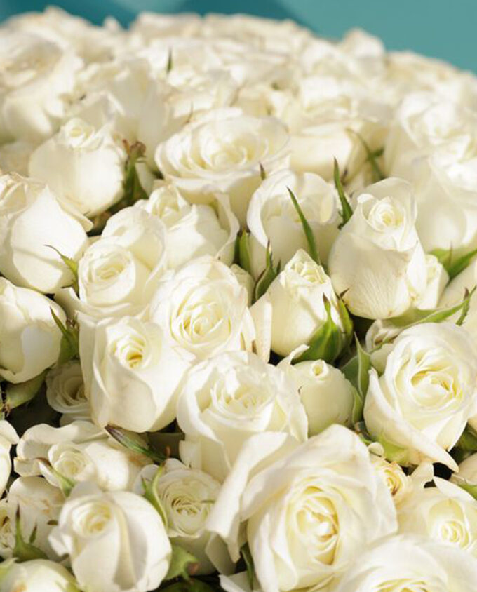 garden glow white rose vase - Image 2
