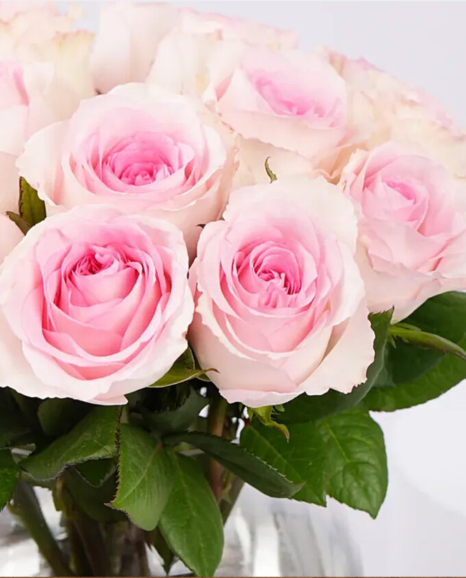 blushing charm gift box