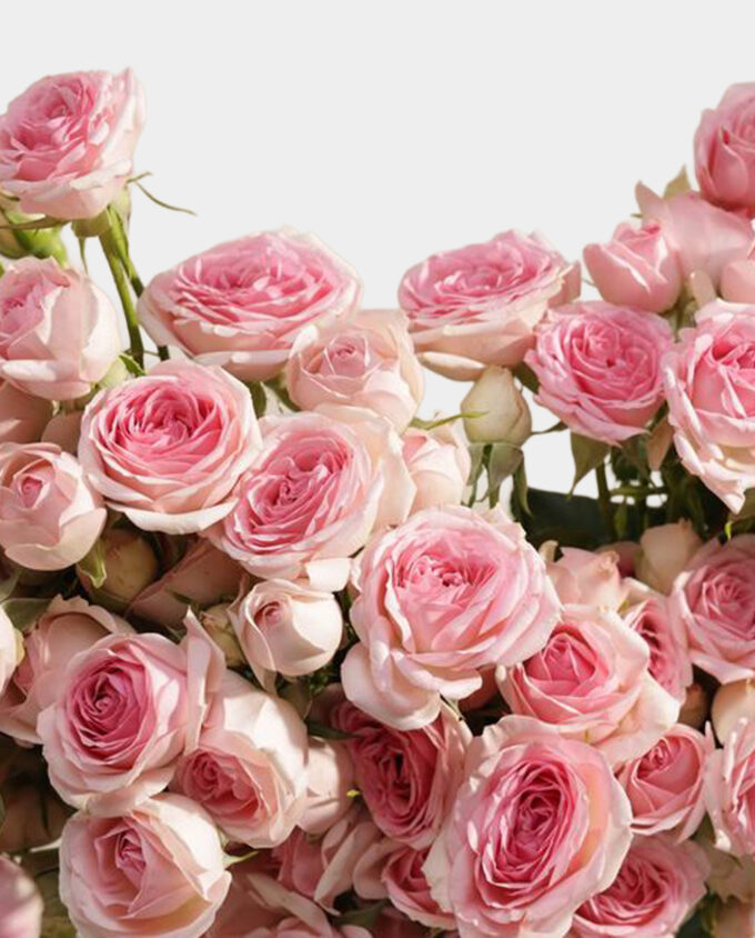sun-kissed blush bouquet - Image 2