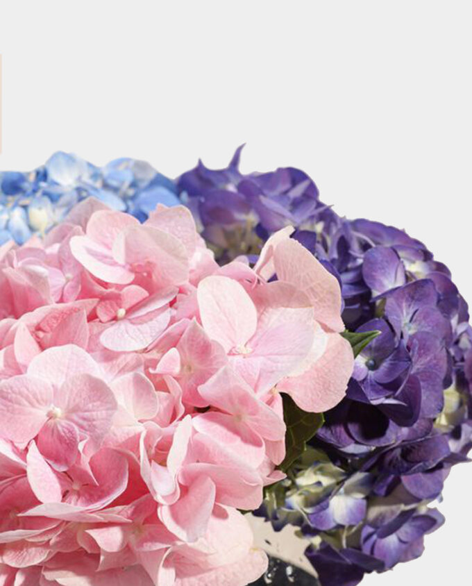 Prism Bloom Hydrangea Vase - Image 3