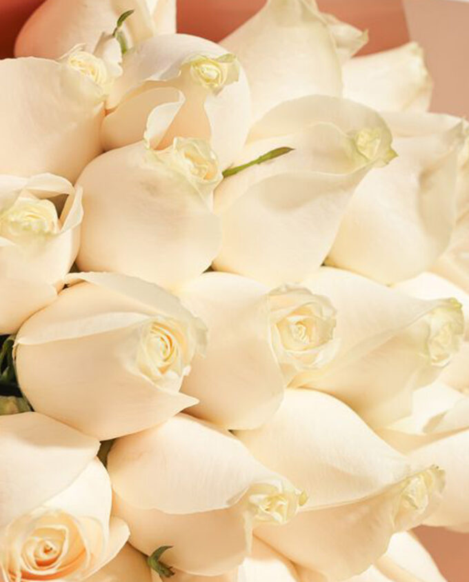 classic white rose bouquet