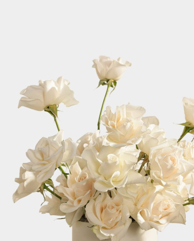 Pure Grace Rose Box - Image 2