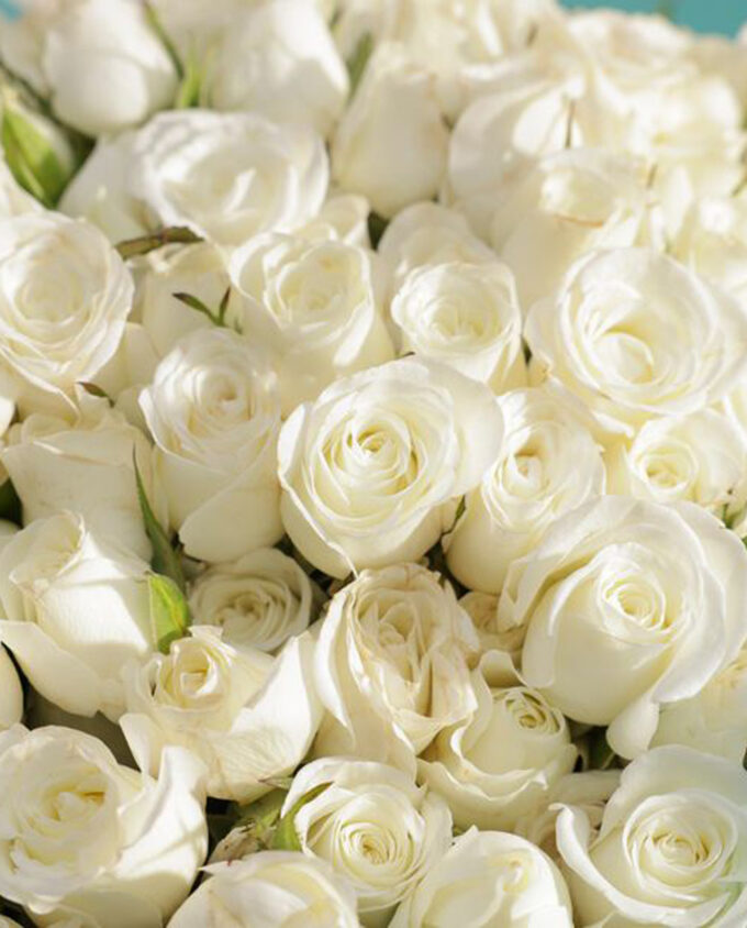 whispers of white bouquet - Image 2