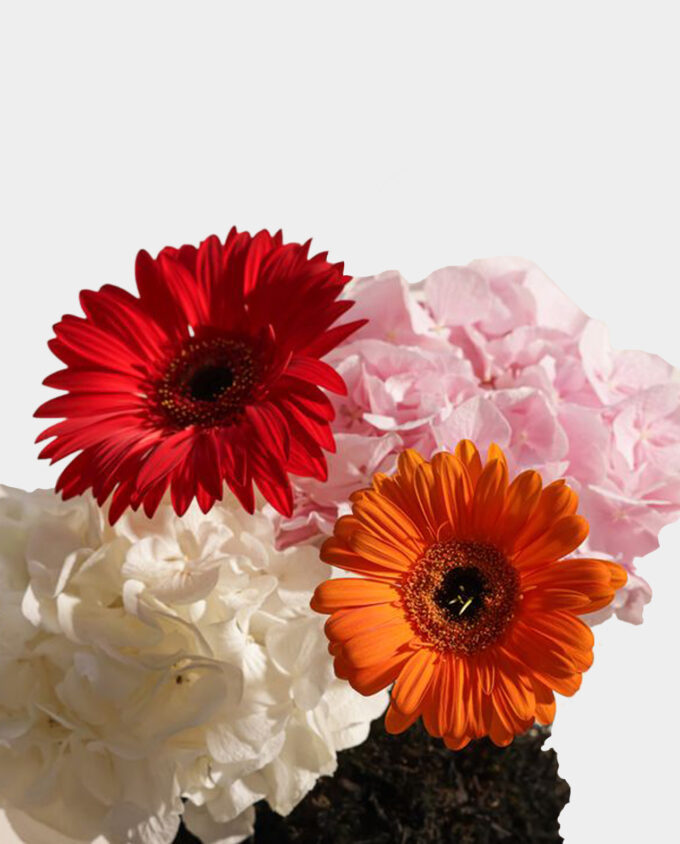 Radiant Bloom Harmony Vase - Image 2