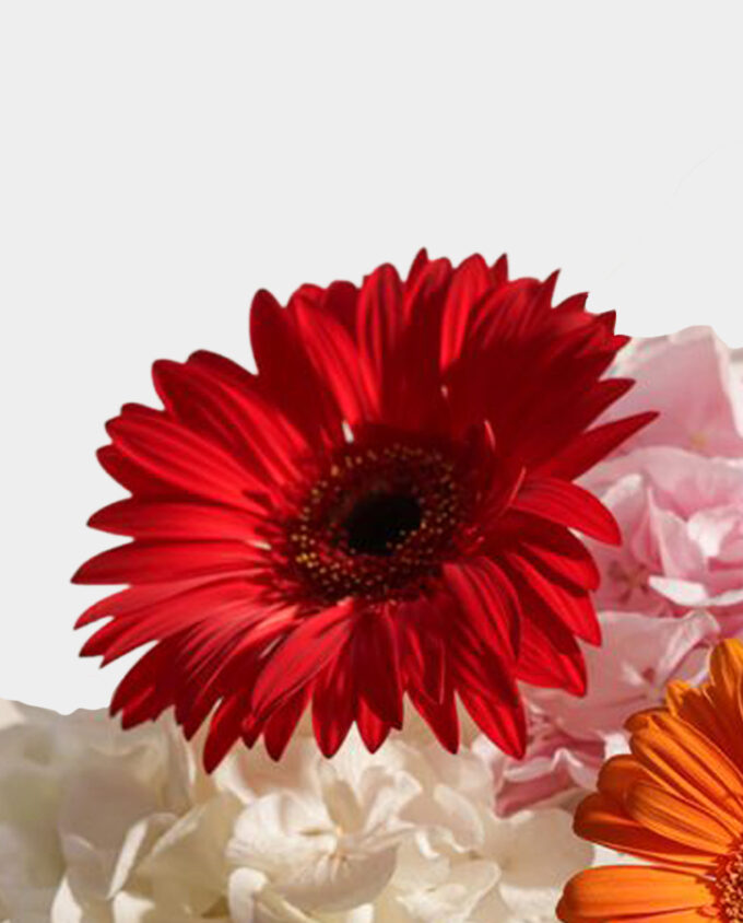 Radiant Bloom Harmony Vase - Image 3
