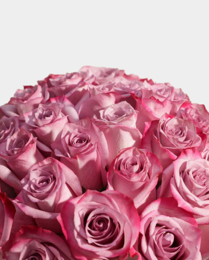 enchanted violet rose vase