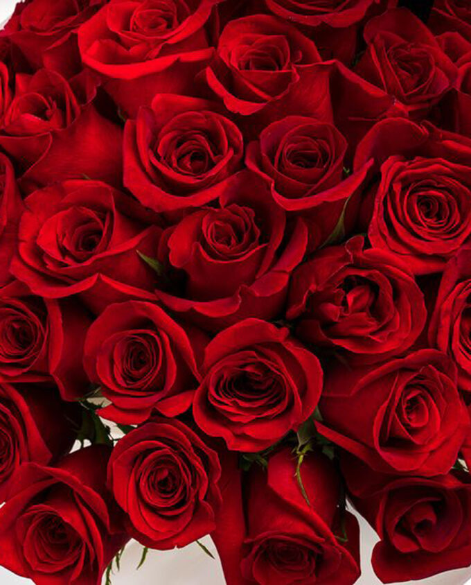 Red Rose Indulgence Gift Set - Image 2