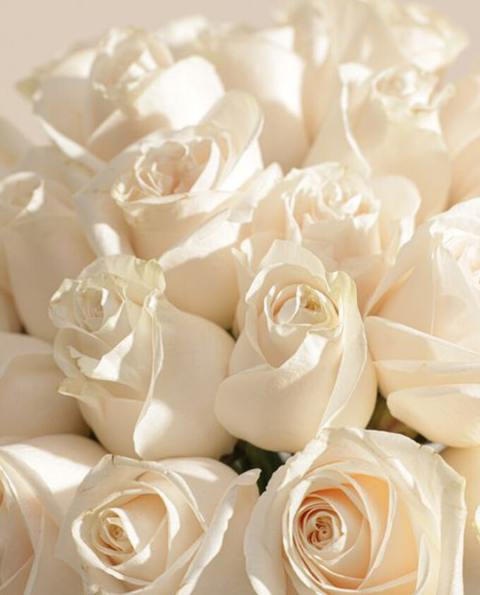 Elegant Bloom & Charm Gift Set - Image 2