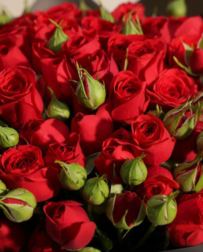 Regal Crimson Rose Bouquet - Image 2