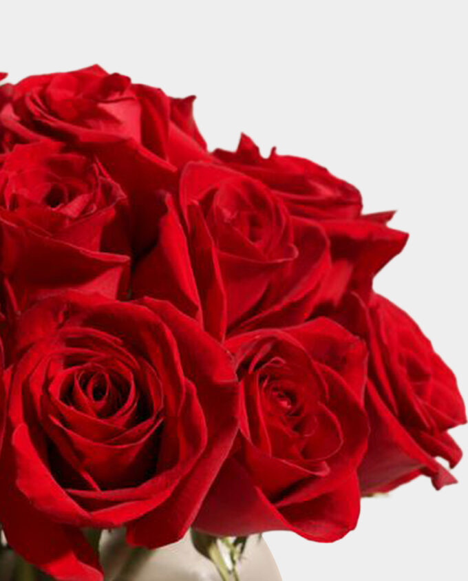 timeless pink rose bloom vase - Image 2