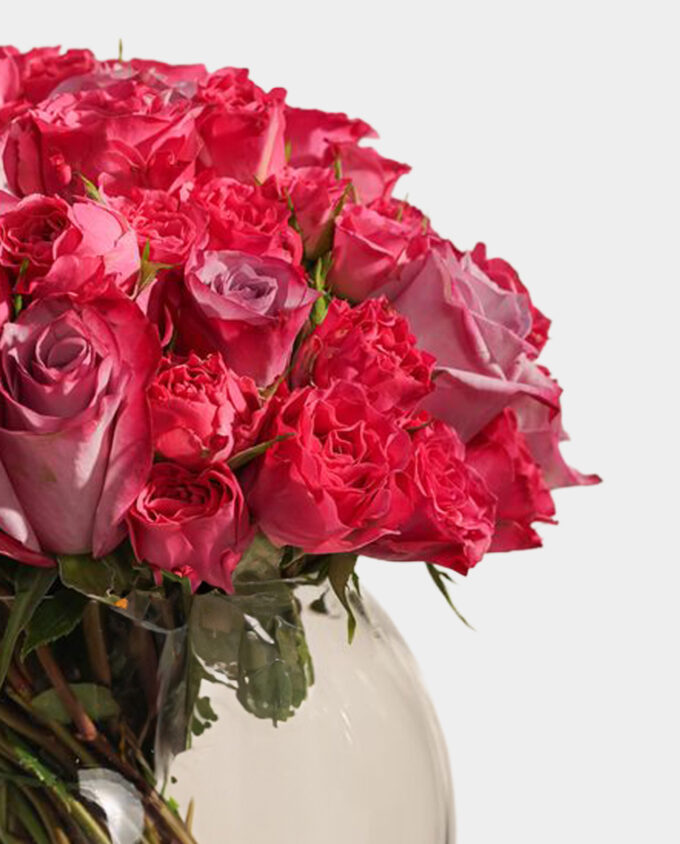blushing pink rose delight