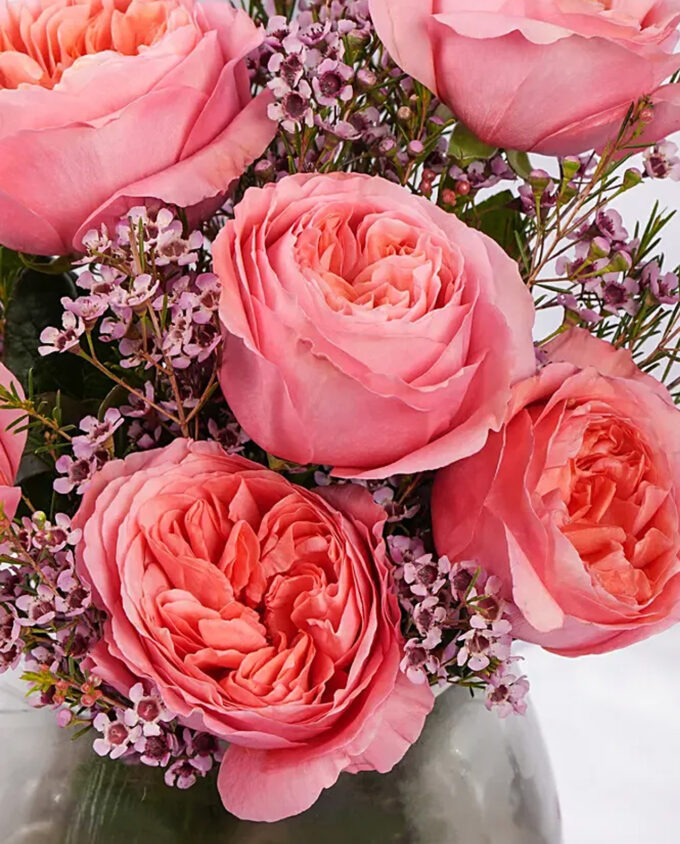 sky bloom celebration