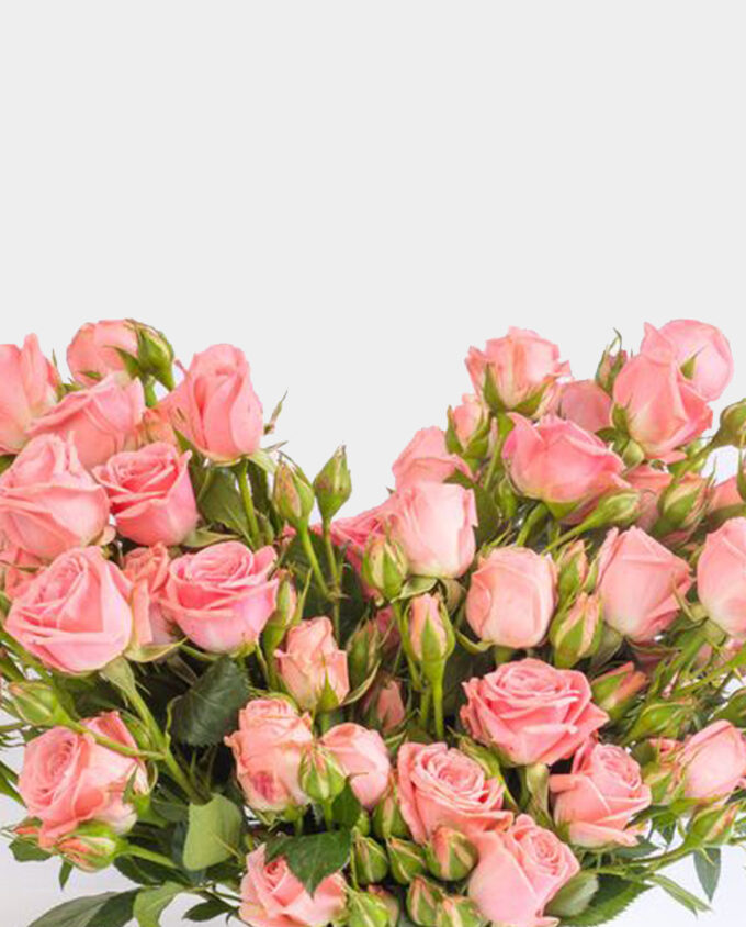loving red carnations bouquet