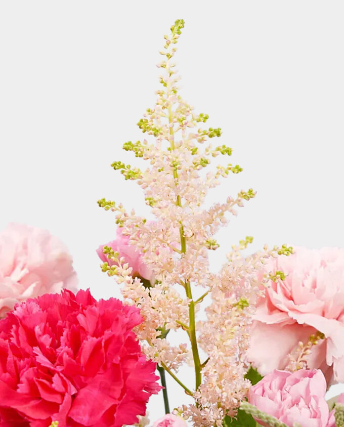 birthday bloom delight