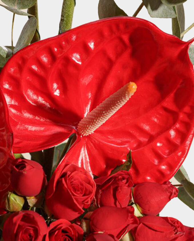 royal bloom vase