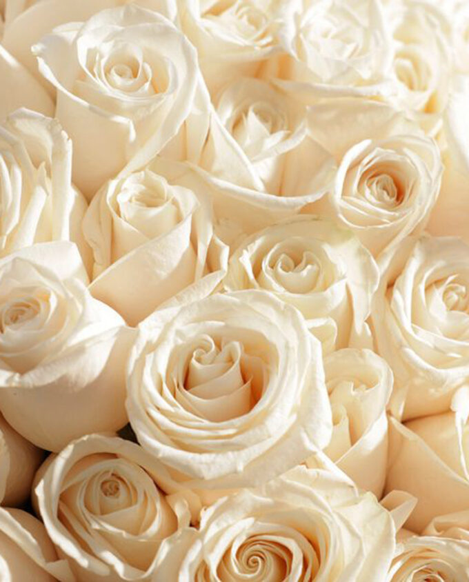 tulip hydrangea harmony vase - Image 2