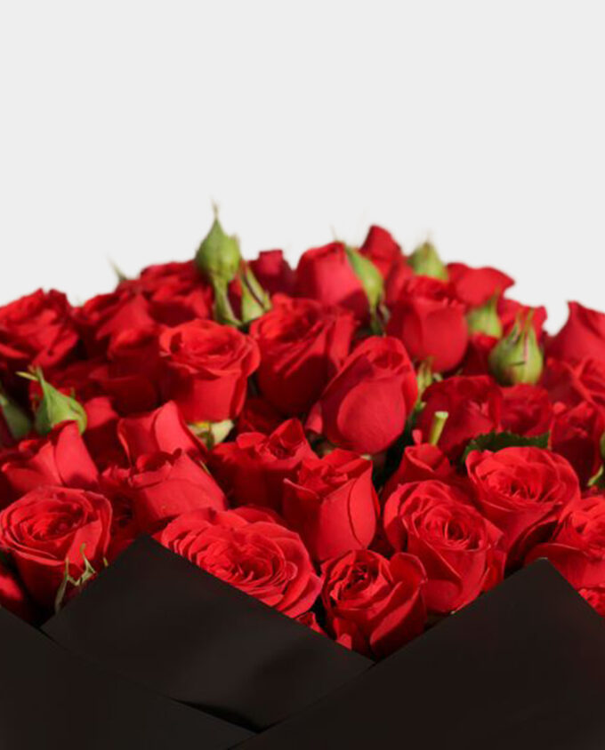 wild romance gift set - Image 2