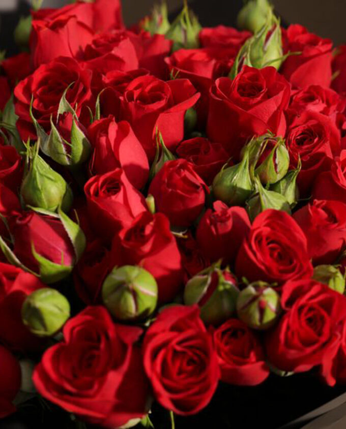 Scarlet Charm Baby Rose Bouquet - Image 3
