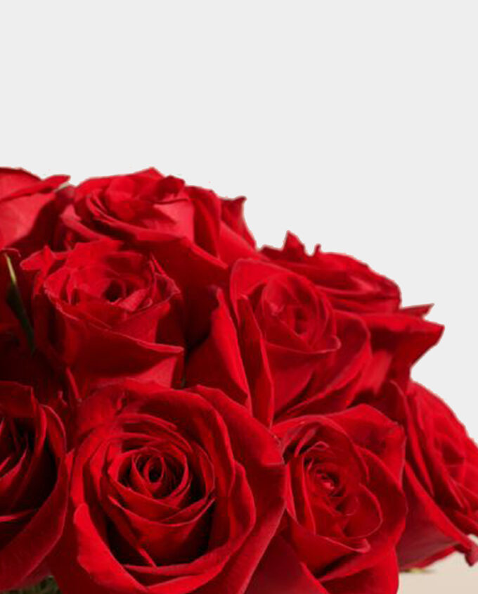 Scarlet Grace Rose Vase - Image 2