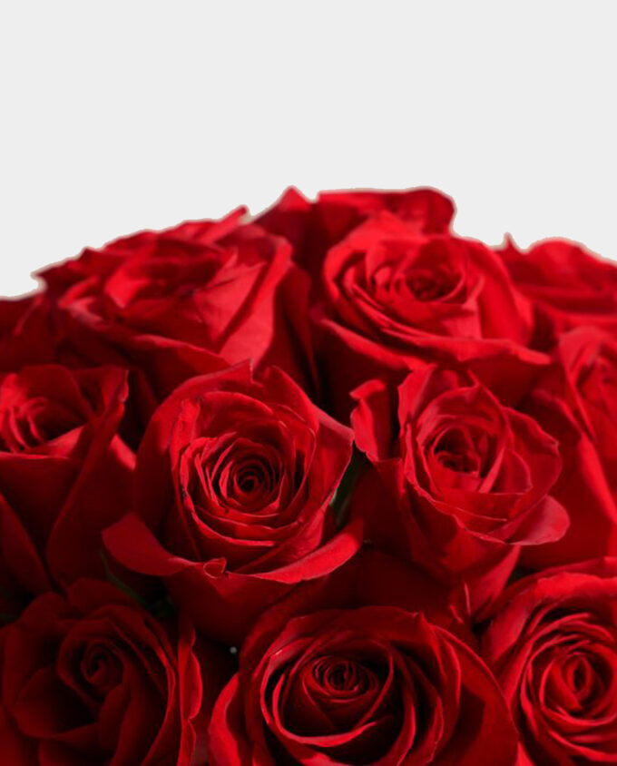 Scarlet Grace Rose Vase - Image 3
