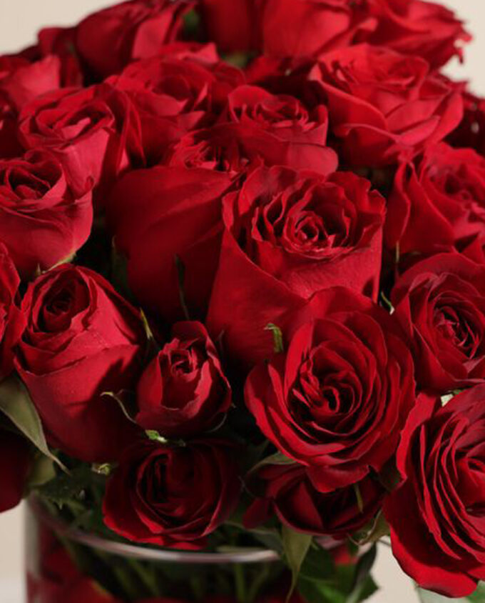 ruby elegance bloom vase