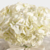Serene Snowfall Hydrangea Vase - Image 2