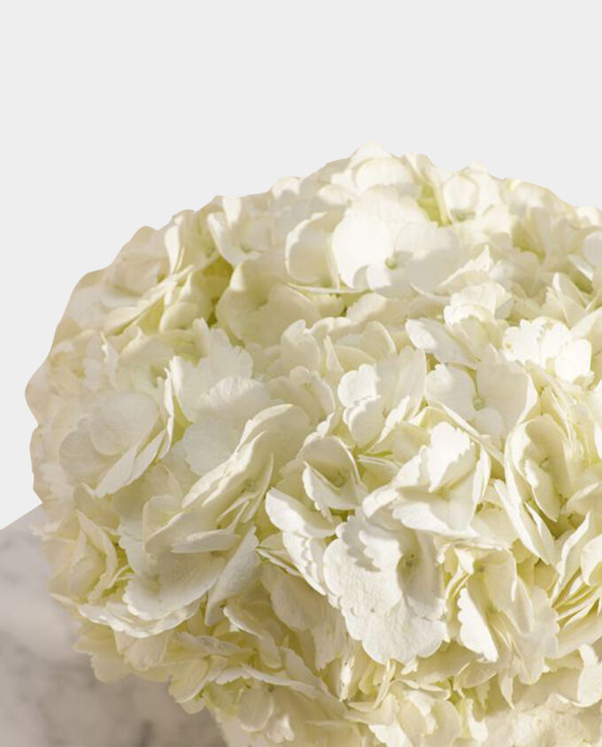 Serene Snowfall Hydrangea Vase - Image 3