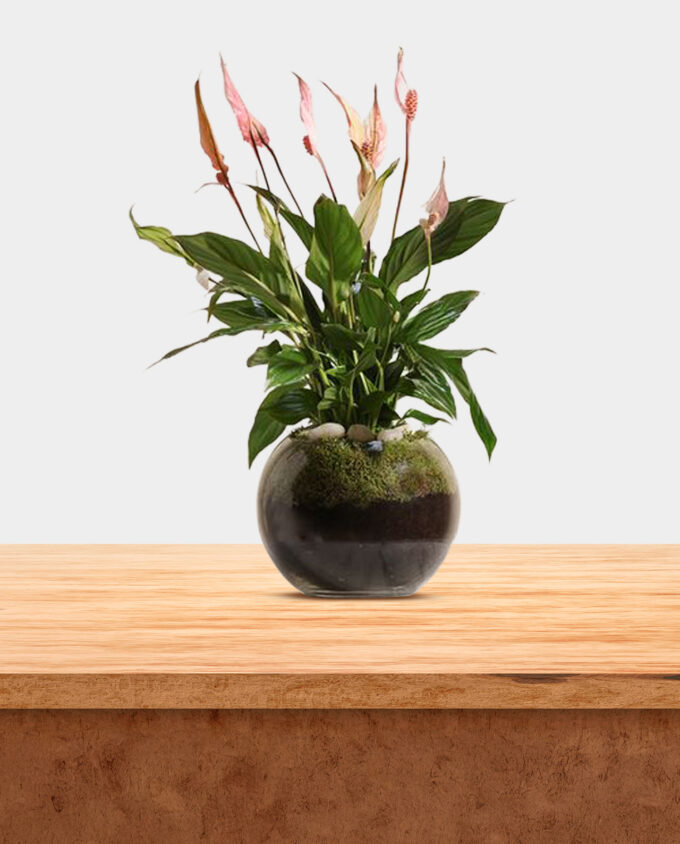 timeless bloom elegance - Image 2