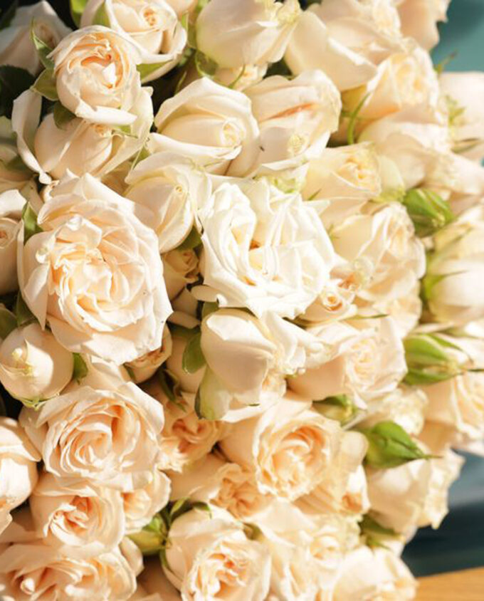 Golden Spark & Bloom Gift Set - Image 3